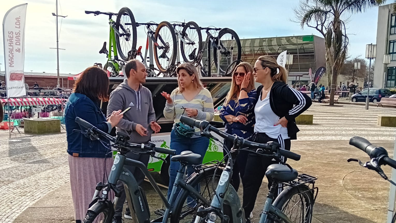 Bike Tours Bike Tours